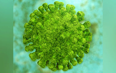 Neues Coronavirus – «So schützen wir uns»