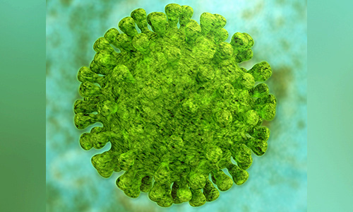 Neues Coronavirus – «So schützen wir uns»