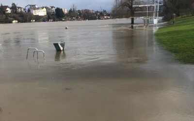 ⚠️ Meiden Sie Ufer und Gewässer ⚠️