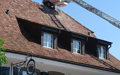 Die Feuerwehr auf Storchenmission