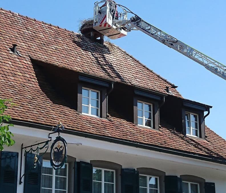 Die Feuerwehr auf Storchenmission