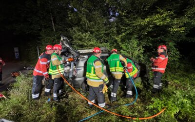 Gemeinsame Einsatzübung der Pioniere und der Sanität